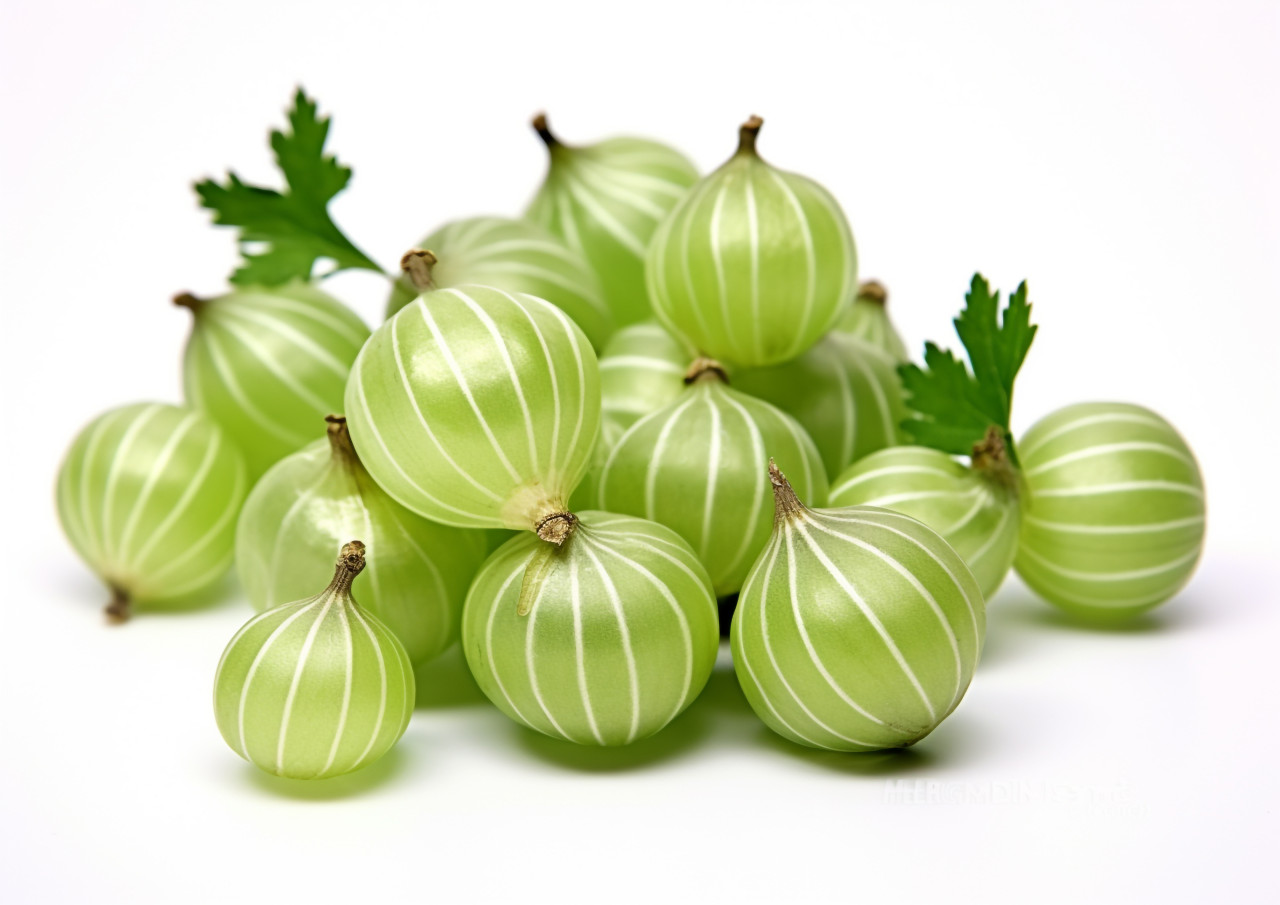 Fresh green gooseberries isolated on white surface, gooseberry fruit image