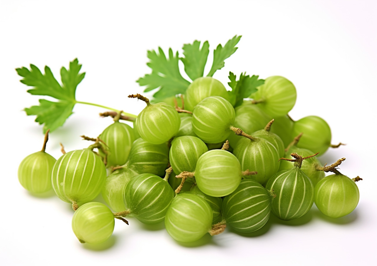 Bunch of green gooseberries isolated on white, gooseberry fruit image
