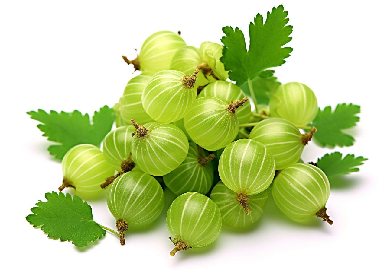 Isolated bunch of green gooseberries, gooseberry fruit image