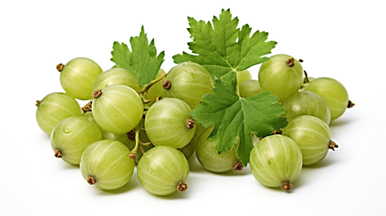 Gooseberries isolated on white background, gooseberry fruit image