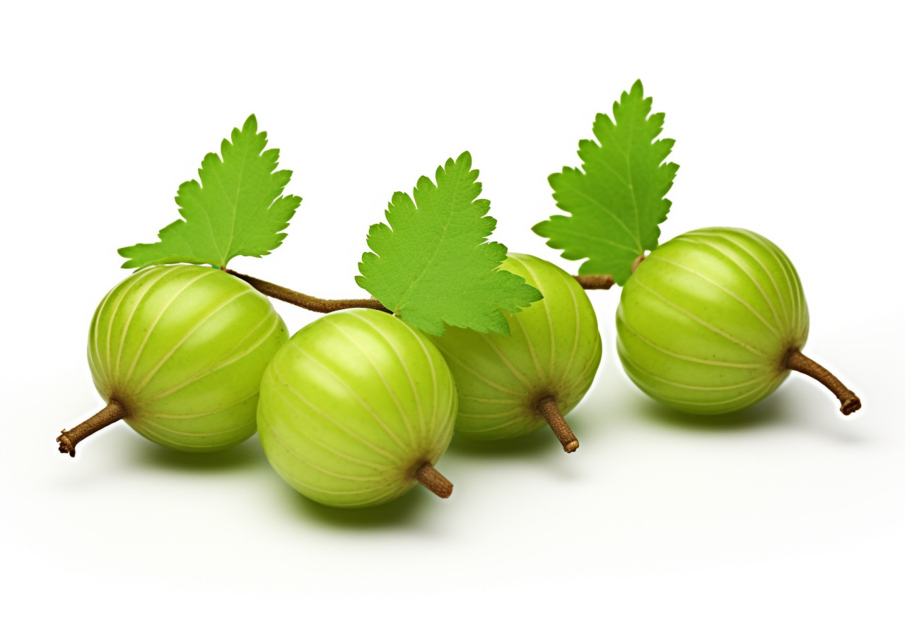 Three green gooseberry on white background, gooseberry fruit image