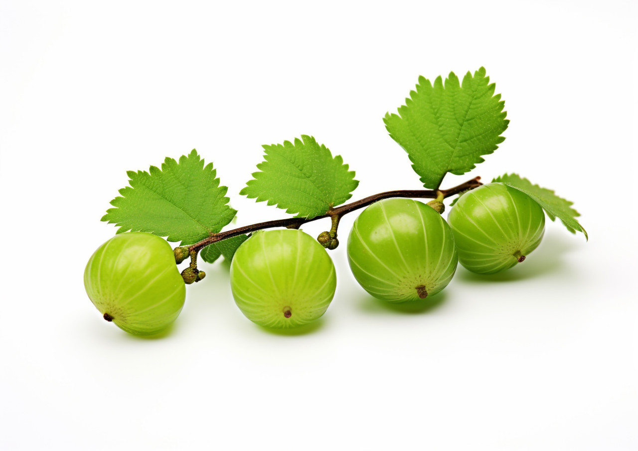 Three gooseberries on white, gooseberry fruit image