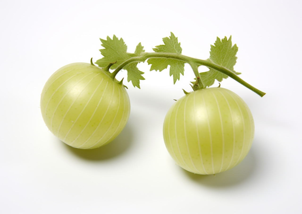 Photo of 2 green gooseberry fruits on white background, gooseberry fruit image