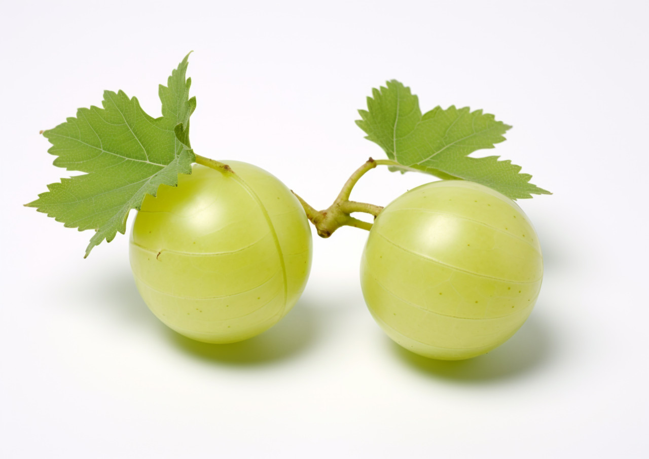 Green gooseberries isolated on white, gooseberry fruit image