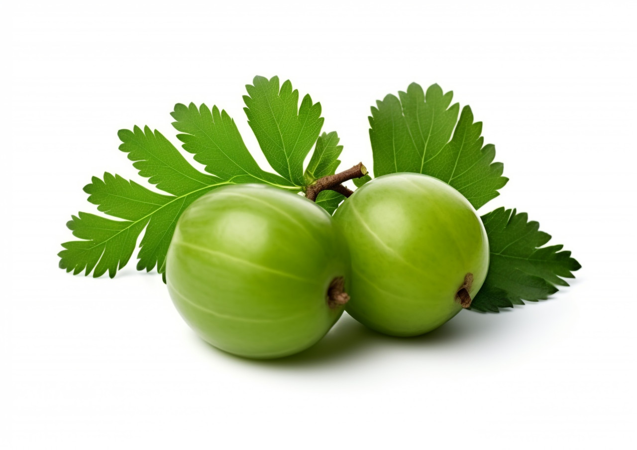 Two amla on white background with leaves, gooseberry fruit image