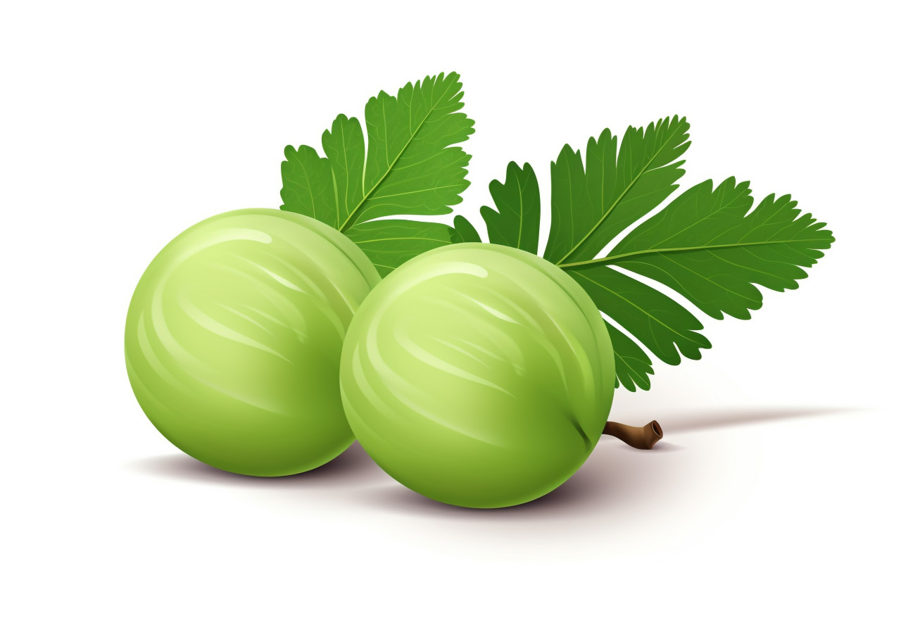 Two green amla on white background, gooseberry fruit image