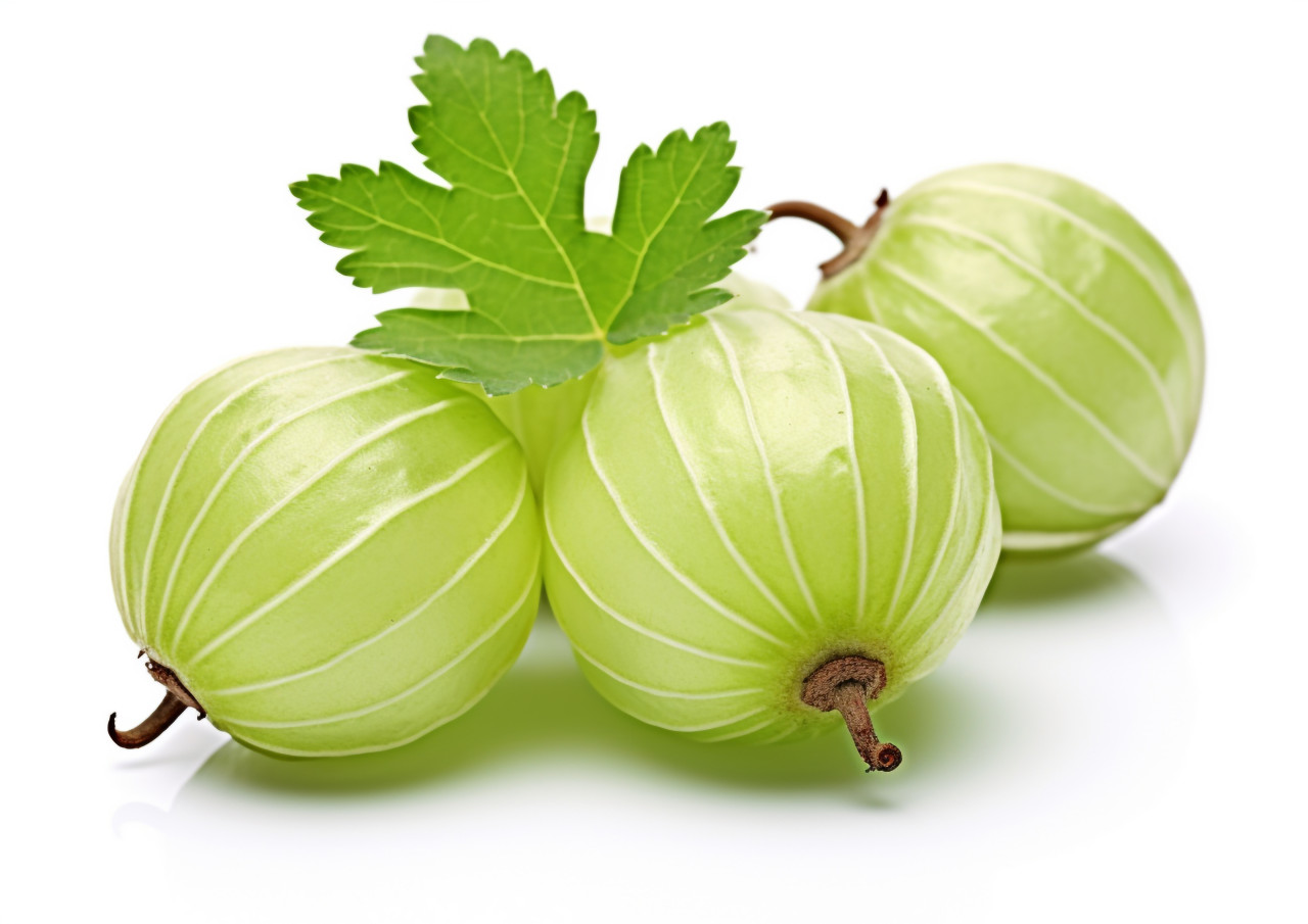Gooseberry fruit isolated on white background, gooseberry fruit image
