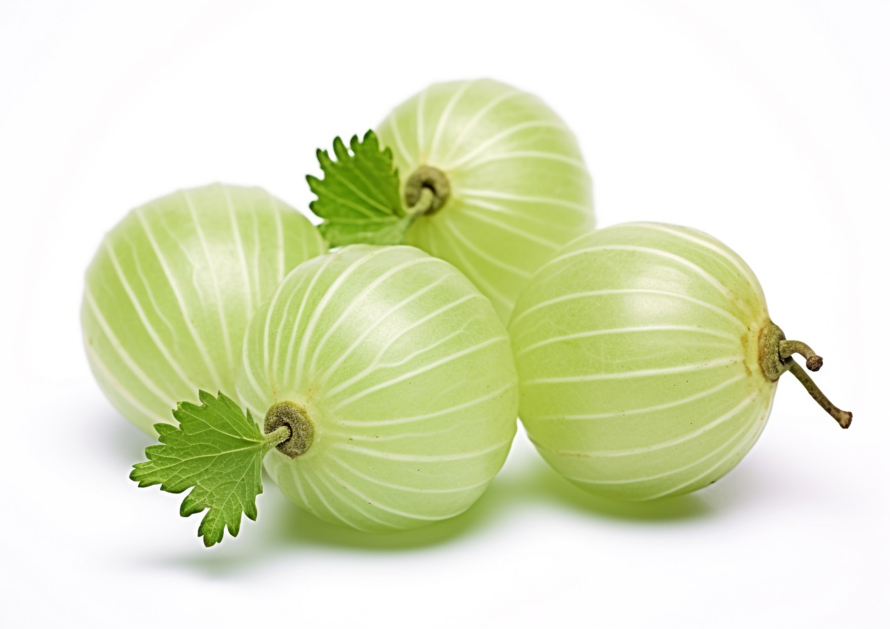 Gooseberry fruit isolated on white, gooseberry fruit image