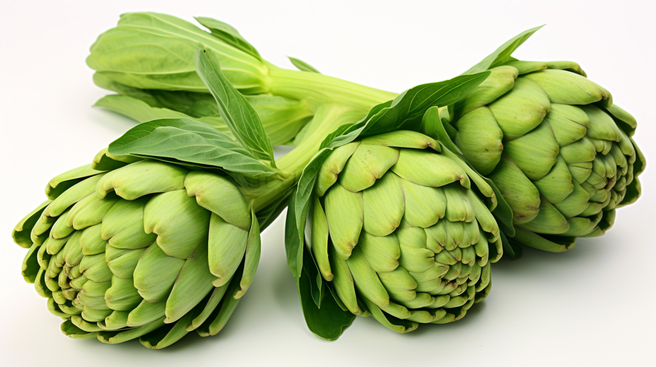 White background with artichokes, artichoke image
