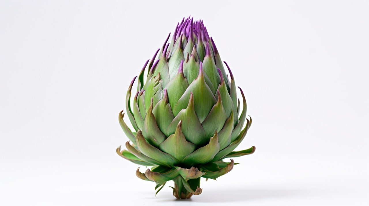 Green artichoke vegetable, artichoke image