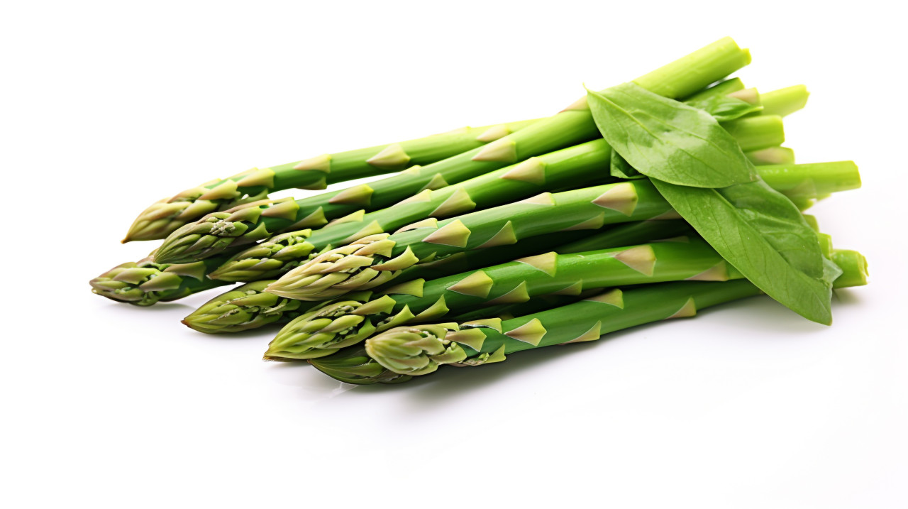 New season asparagus on white background, asparagus image