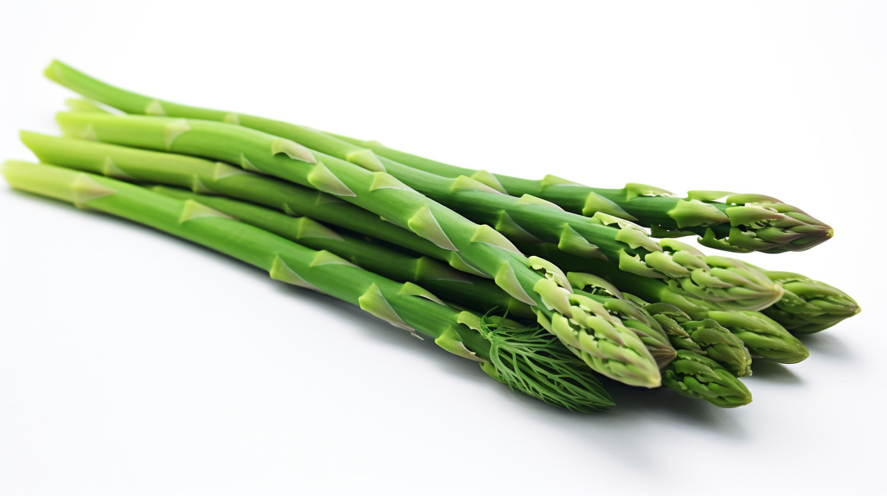 Asparagus photo on white background, asparagus image