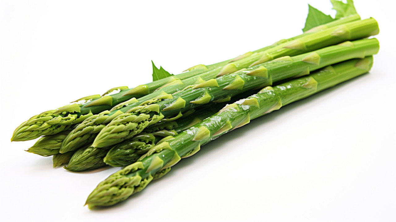 Single asparagus spear on white, asparagus image