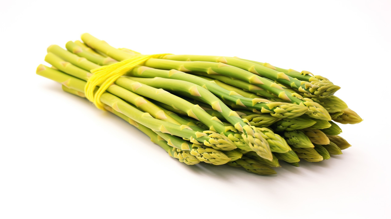 Asparagus bunch on white background, asparagus image