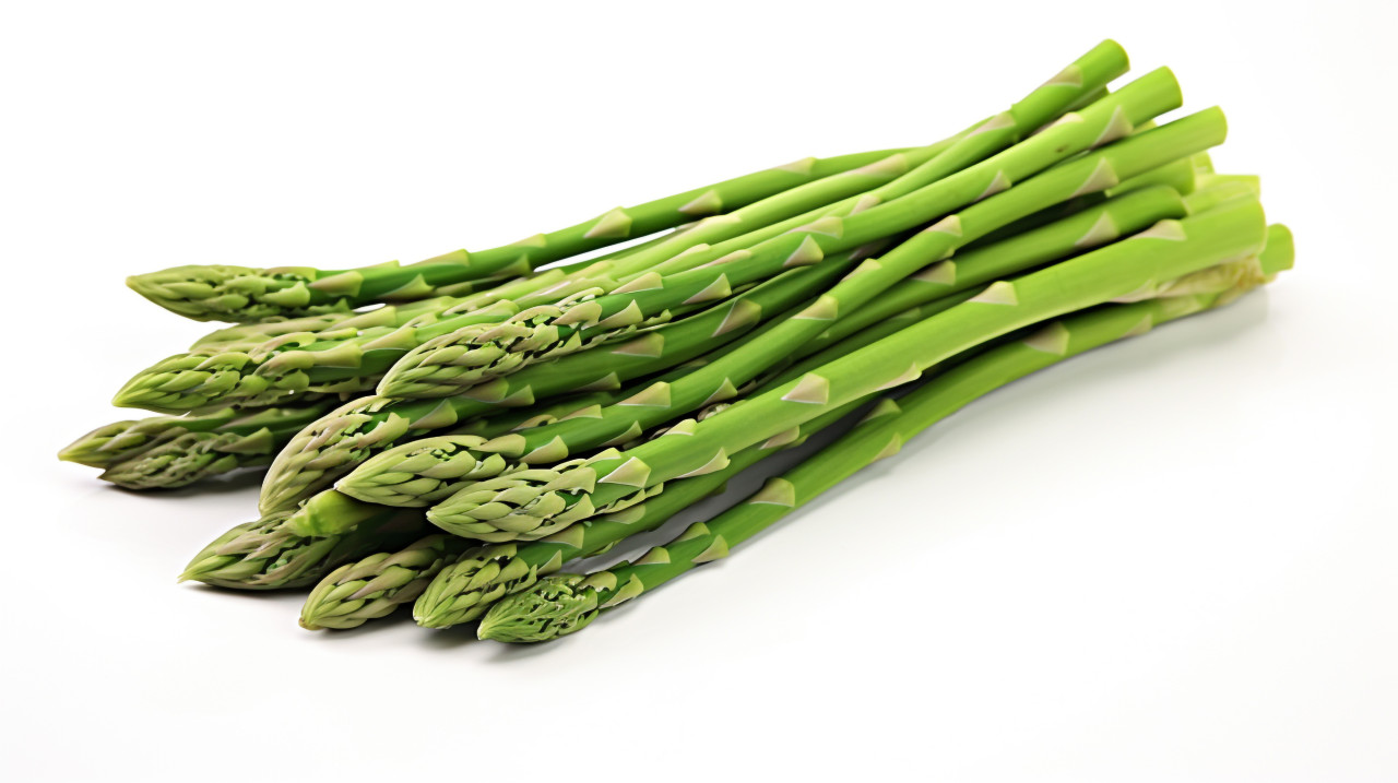 Fresh asparagus bunch on white background, asparagus image