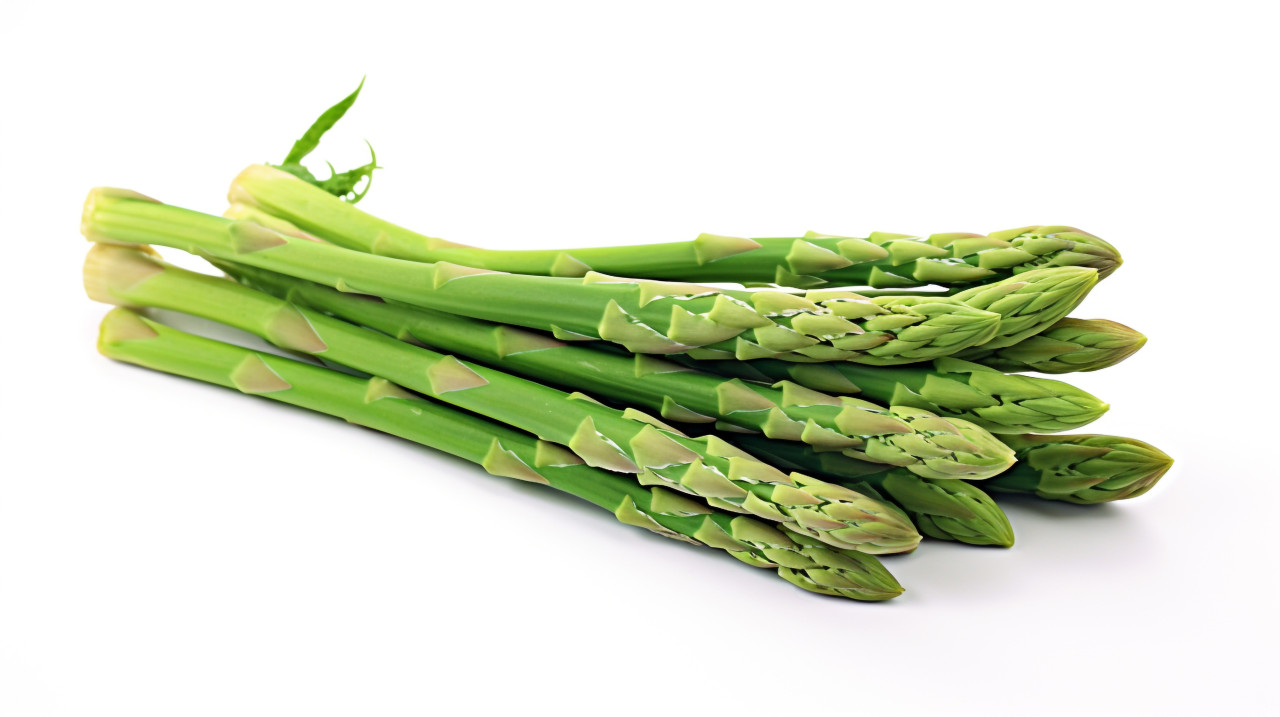Green asparagus spears isolated on white, asparagus image