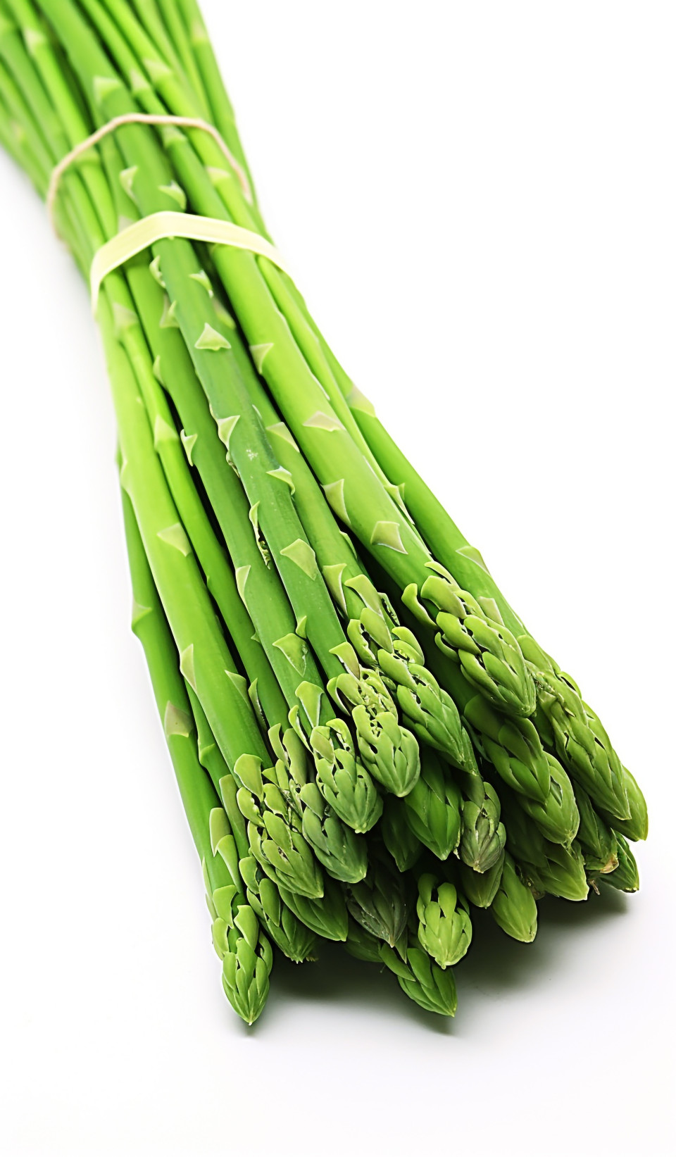 Isolated asparagus on white, asparagus image