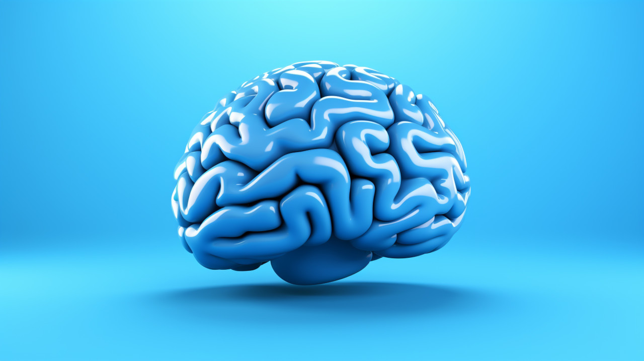 Brain photo with blue background, human brain image