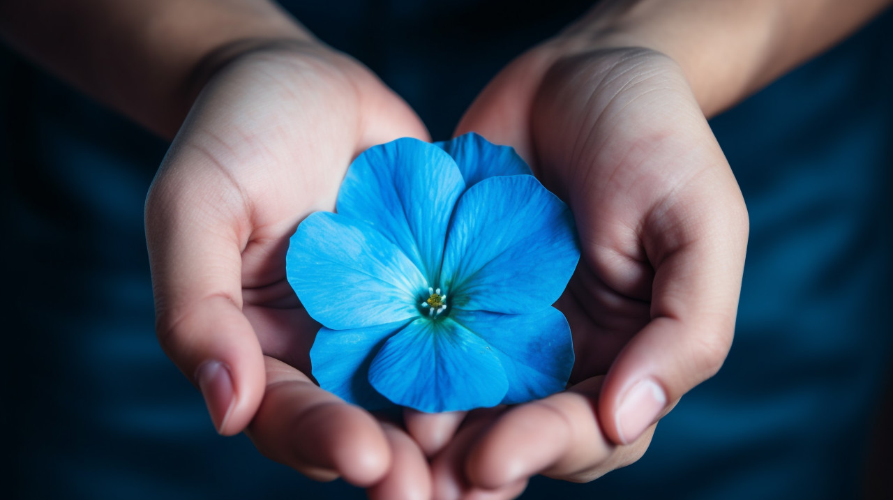 Close up of flower in hand