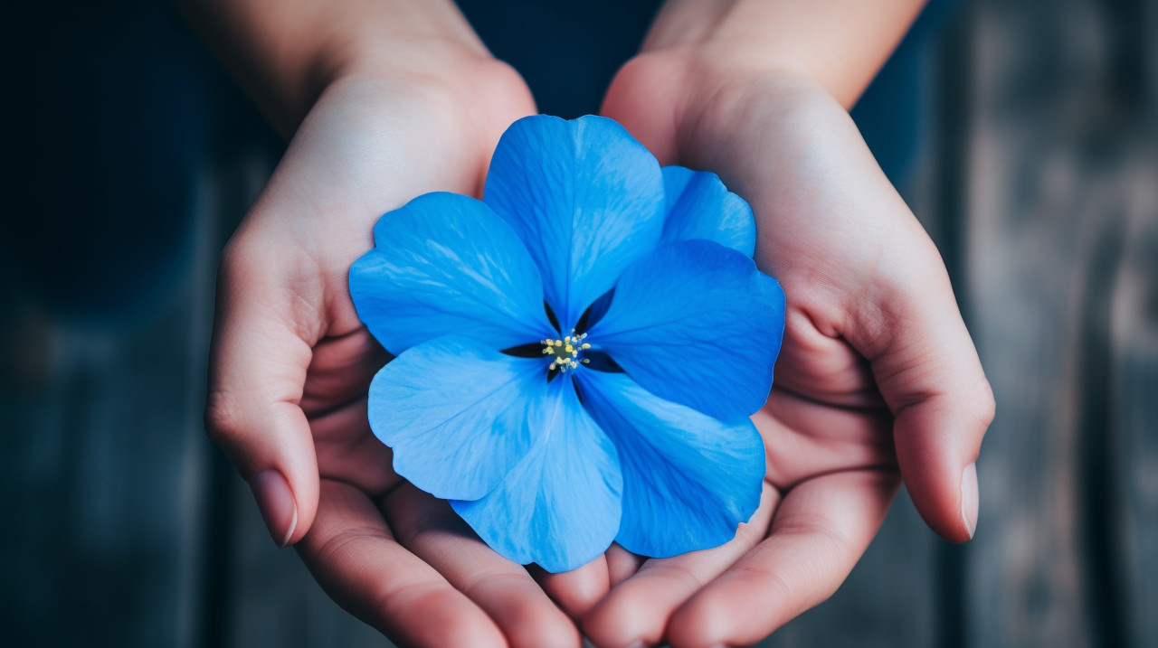 Persons hand holding a rose