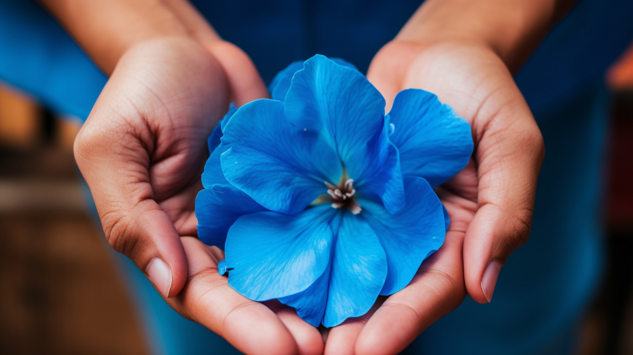 Flower in human hand