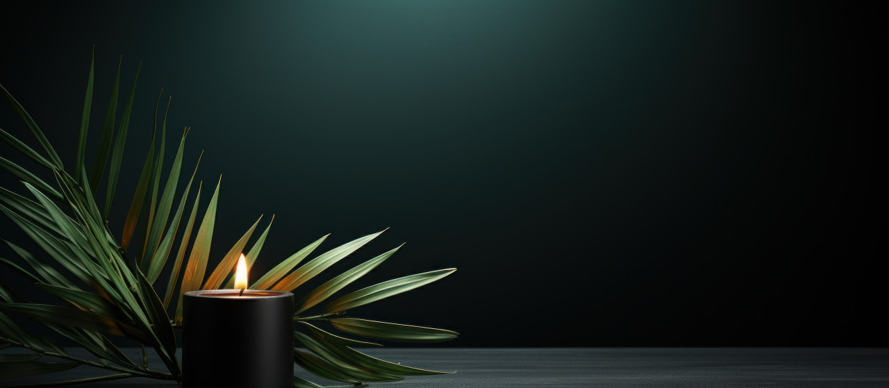 Black candle with palm branch on dark background, palm sunday decorations image