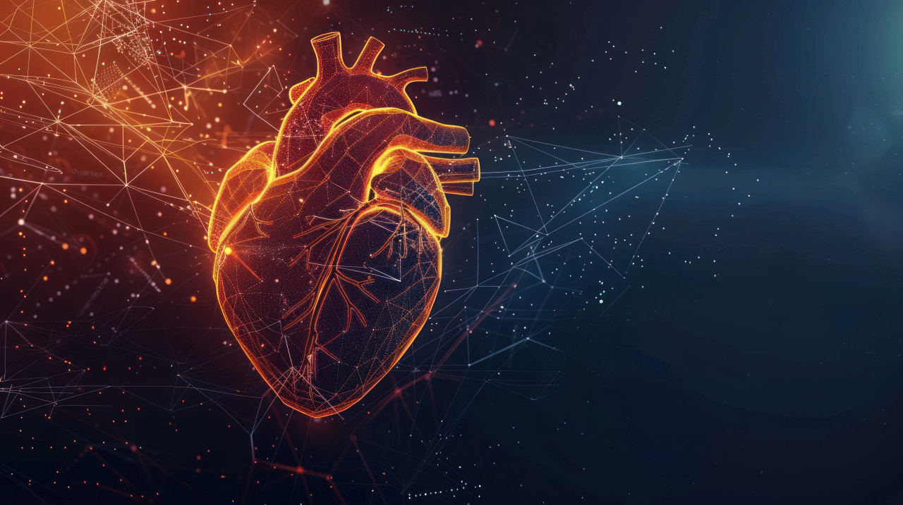 An abstract representation of a human heart depicted with glowing lines and dots against a dark background symbolizing vitality and the inner workings of the cardiovascular system