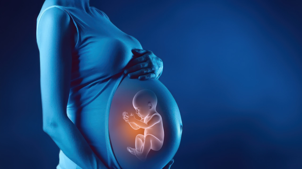 Blue pregnant woman with her baby inside her belly illustration fetus concept