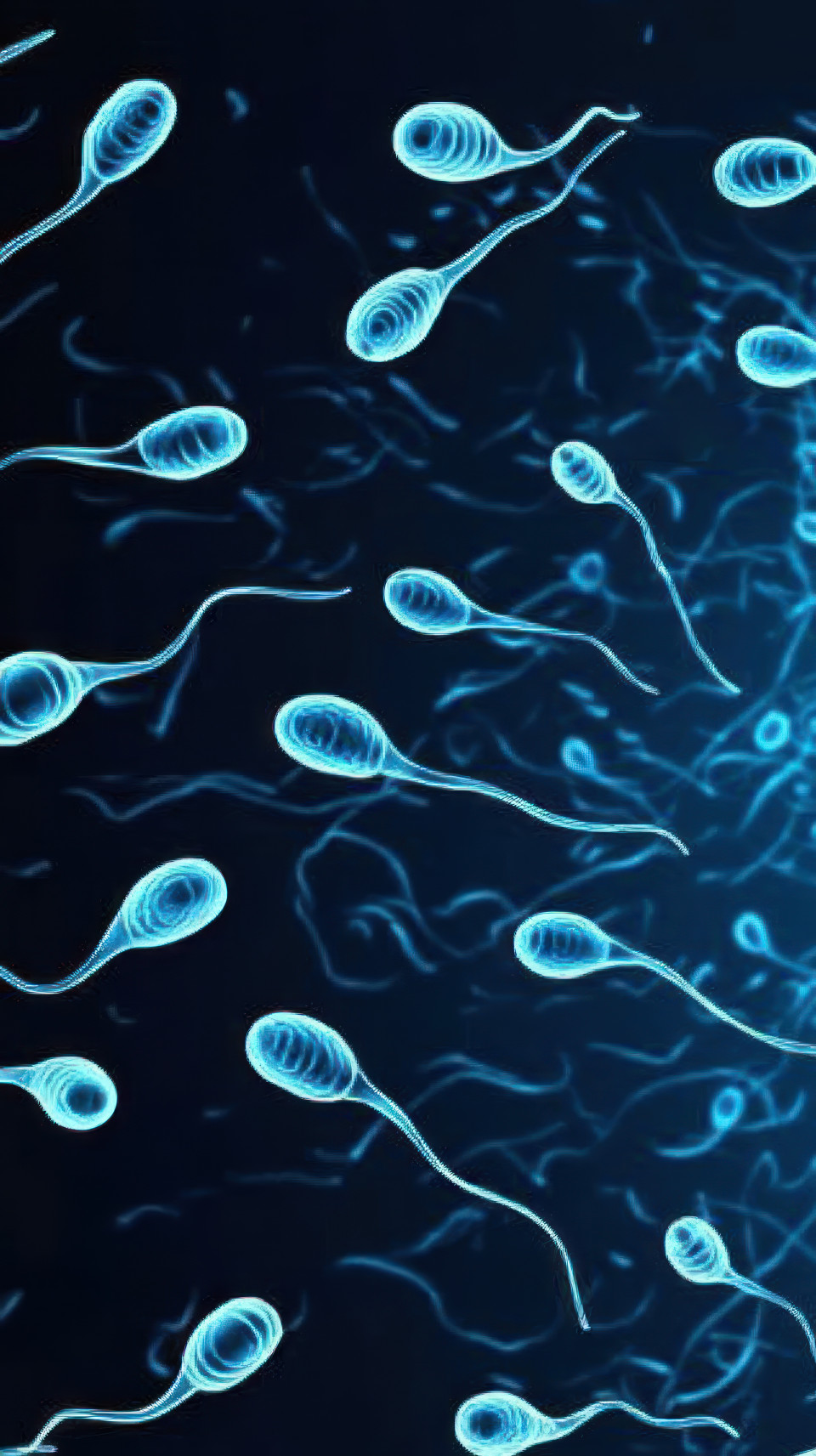 Many thin blue and white sperm cells on blue background, male fertility, sperm cells, fertility support