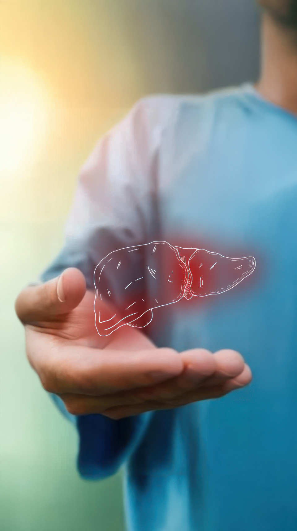 Doctor holding an illustration of the human liver with the right side glowing red and white, focuses on liver disease, digestive health, and pediatric gastroenterology