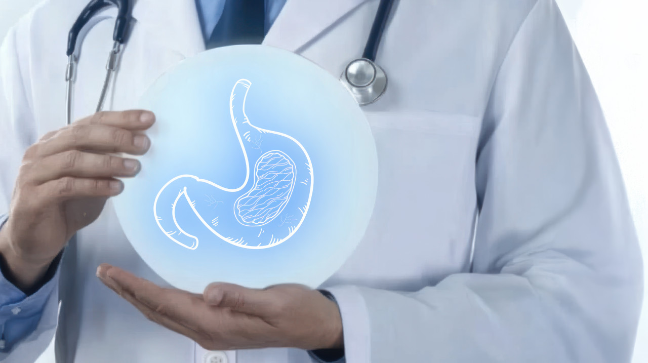 Doctor holding an icon representing the stomach discussing acid reflux, concept of digestive health, colorectal cancer awareness, and pediatric gastroenterology