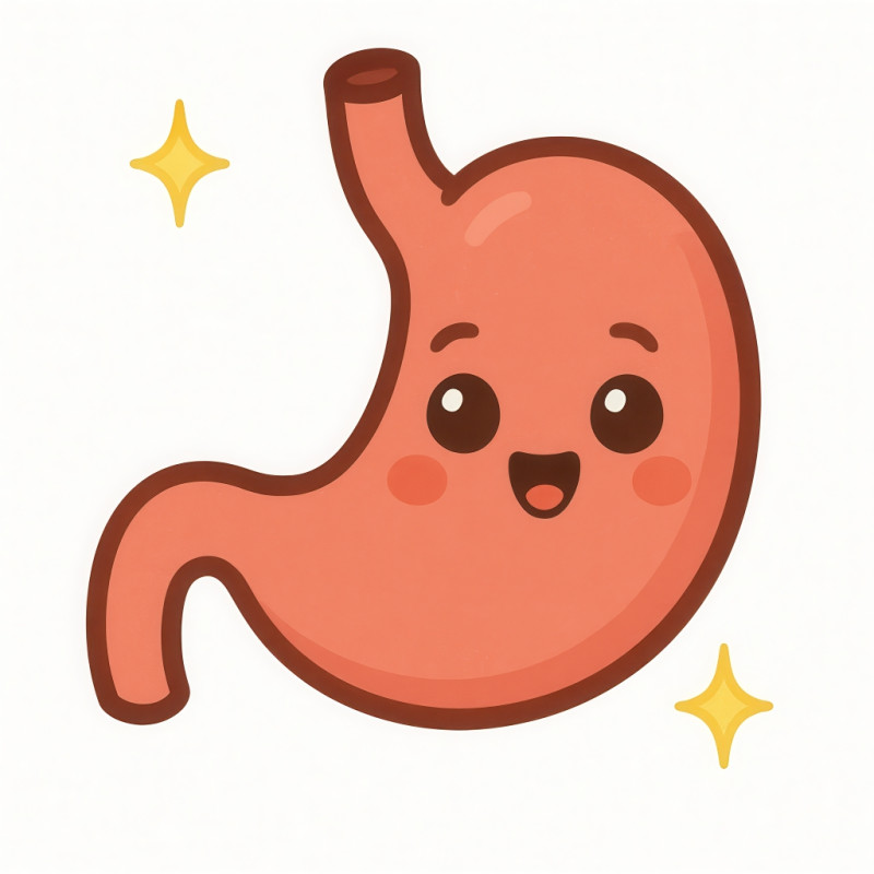 A 2d cartoon chibi like style emoji illustration of a human stomach