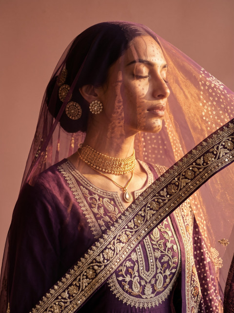 Anarkali Suit AI Mood Editorial Photography Prompt Sheer Embroidered Veil