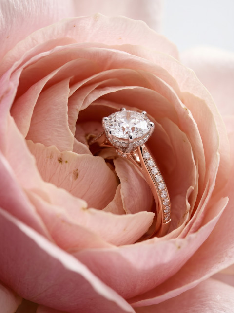 Blooming Rose Diamond Ring AI Product Photography Prompt Macro Floral Aesthetic